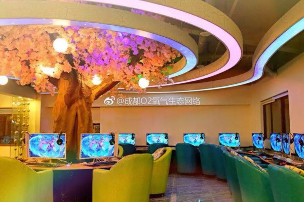 广州98年张凤个人资料揭秘