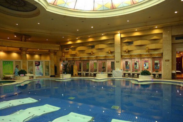 广州95场犬马之家：打造宠物运动新风尚